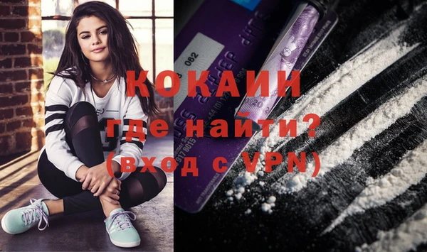 СК Бородино