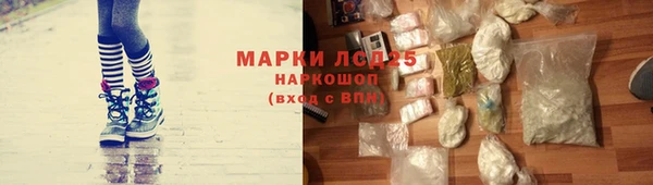 СК Бородино