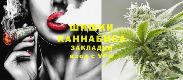 СК Бородино