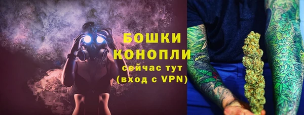 СК Бородино