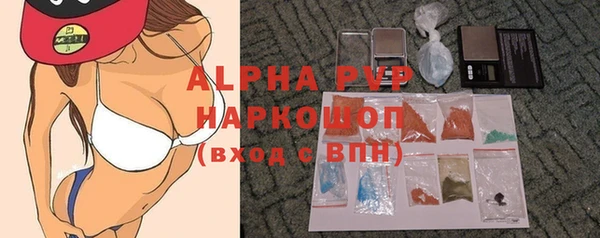 СК Бородино