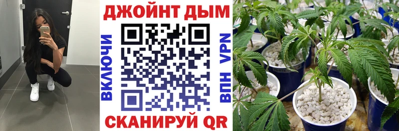 Каннабис ГИДРОПОН ОМГ ОМГ как зайти Тосно